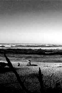 Processed Image