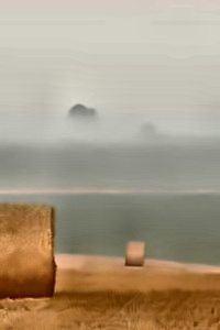 Processed Image