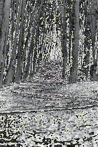 Processed Image